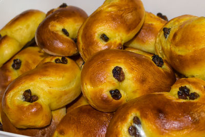 Close-up of fruits in plate