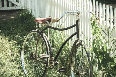 Bicycle parked by plants