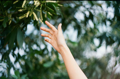 Cropped image of hand reaching towards twig