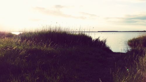 Scenic view of beach against sky during sunset