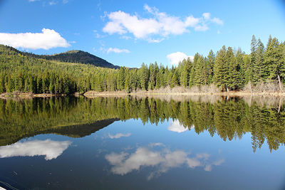 Scenic view of lake by trees against sky