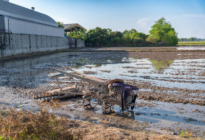 Plow tractor park in rice field after farmer relax in a middle day.