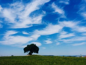 Trees on field against sky