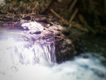 Scenic view of waterfall