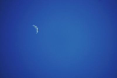 Low angle view of trees against clear blue sky