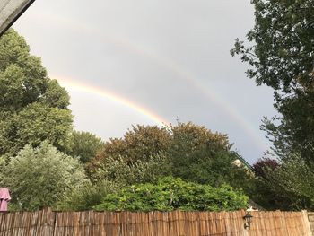 Rainbow over trees against sky