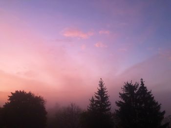 Silhouette of trees during sunset