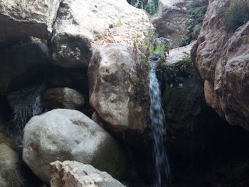 Close-up of waterfall in forest