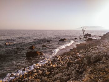 Scenic view of sea against clear sky