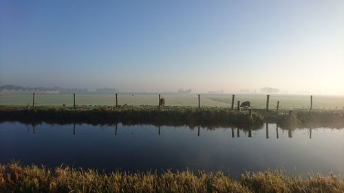 Scenic view of field against clear sky