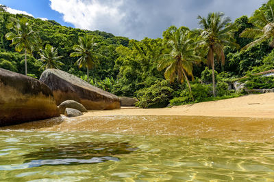 Deserted and unspoilt beach surrounded by rainforest on ilha grande, coast of rio de janeiro