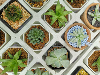 Full frame shot of food