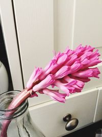 Close-up of pink flowers