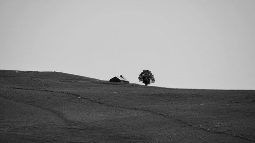 Scenic view of field against clear sky