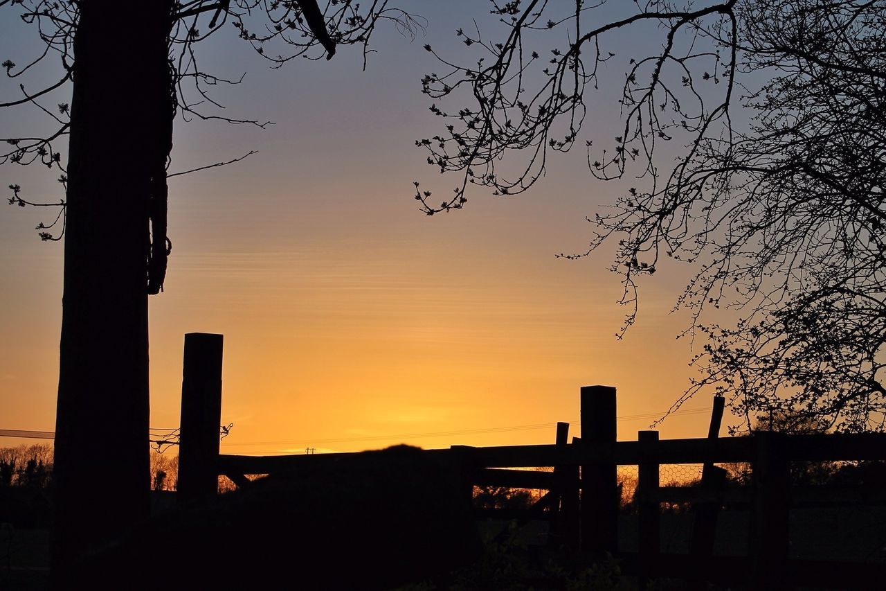 sunset, silhouette, building exterior, built structure, architecture, sky, dusk, tree, orange color, city, nature, outdoors, no people, low angle view, street light, building, railing, branch, bare tree, beauty in nature