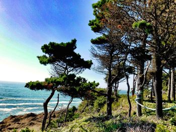Scenic view of sea against clear sky