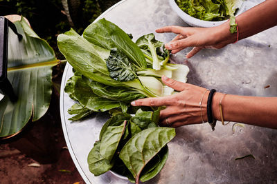 Cropped hands of woman with leaf vegetables on table