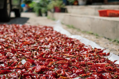 Close-up of red chili peppers for sale in market