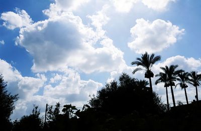 Low angle view of silhouette palm trees against sky