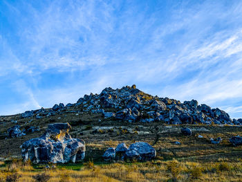 Landscape photo with bizarre rocks at sunset taken at castle hill of new zealand