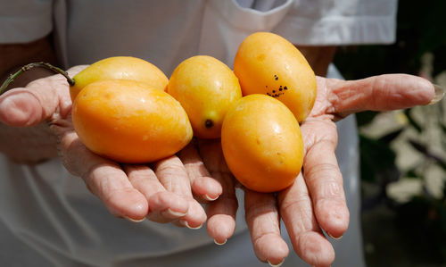 Close-up of hand holding fruits