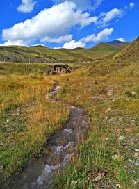 Scenic view of landscape against sky