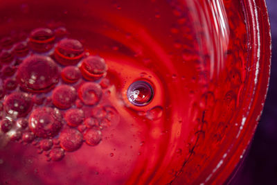 Close-up of water drops on glass