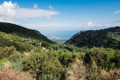 Scenic view of landscape against sky