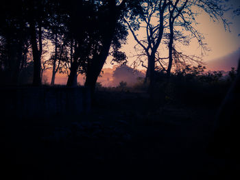 Silhouette trees on field against sky at sunset