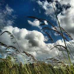 Scenic view of field against cloudy sky