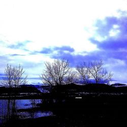 Bare trees against cloudy sky