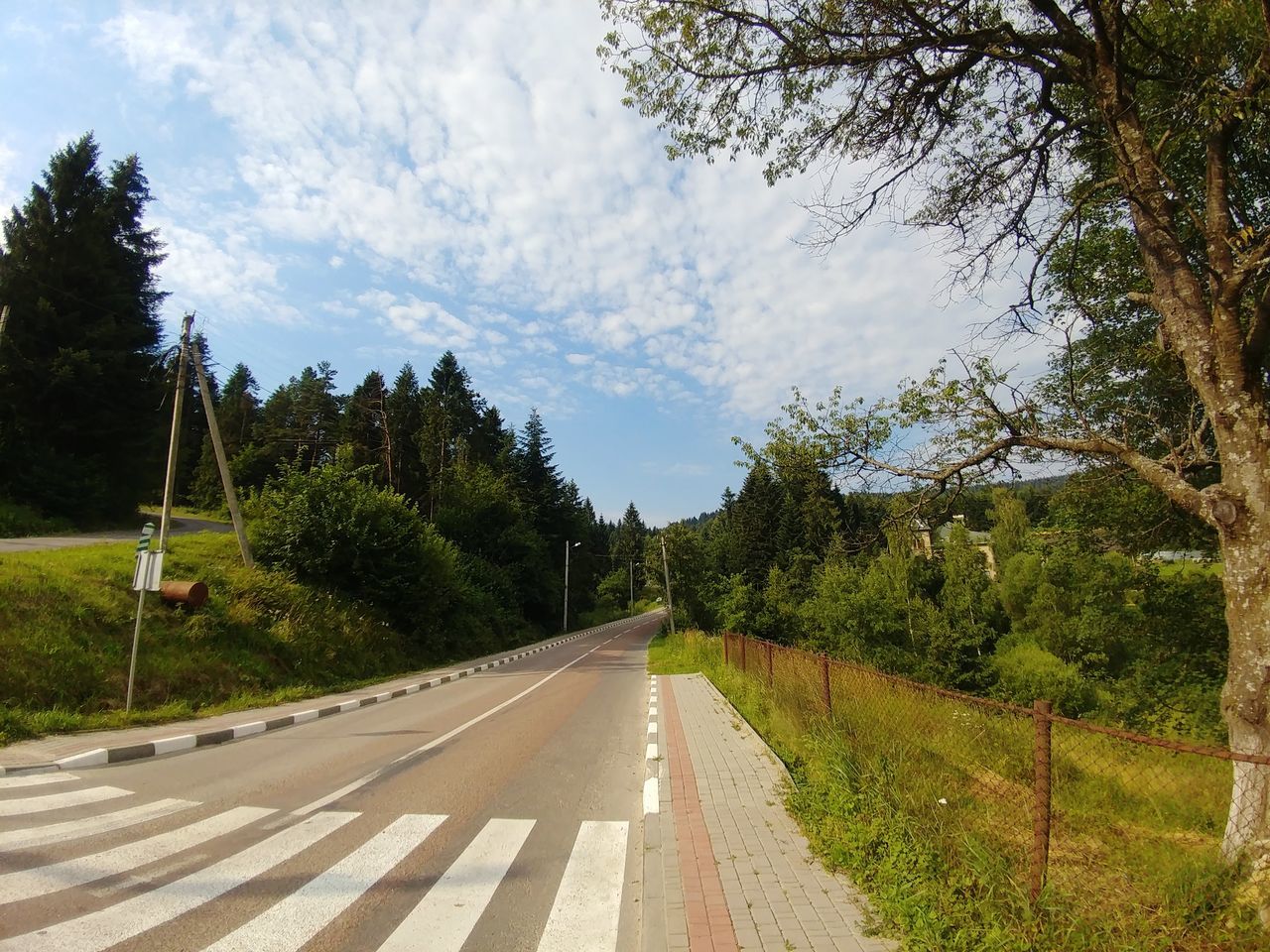 tree, plant, road, sky, direction, transportation, symbol, sign, nature, road marking, the way forward, cloud - sky, marking, no people, green color, diminishing perspective, day, growth, empty road, outdoors, dividing line