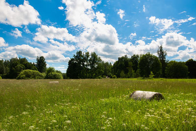 Scenic view of field against sky