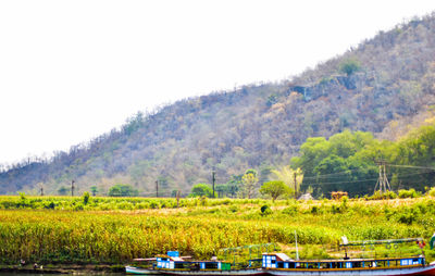 Scenic view of rural landscape