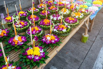 Close-up of multi colored flower pot