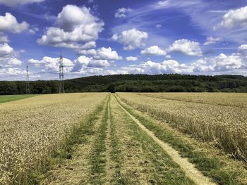 Scenic view of agricultural field against sky