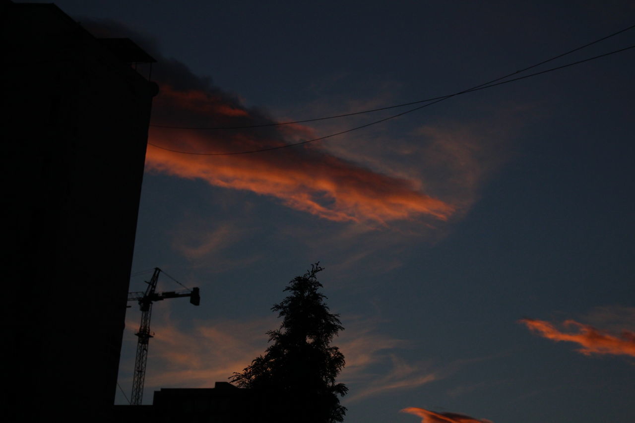 LOW ANGLE VIEW OF SILHOUETTE TREES AND BUILDINGS AGAINST SKY AT SUNSET