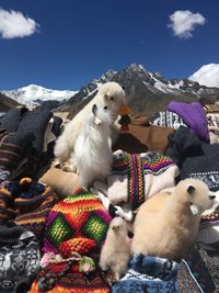 View of a sheep on snow covered mountain