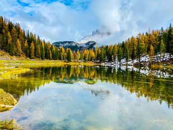 Scenic view of lake by trees against sky