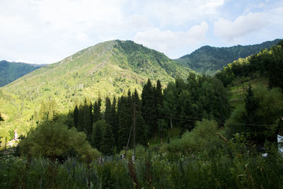 Scenic view of trees and mountains against sky