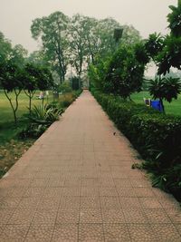 Footpath in park