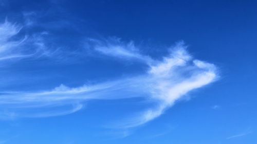 Low angle view of blue sky