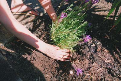 Low section of woman working on flower