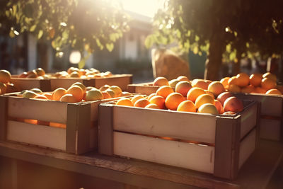 Close-up of fruits for sale