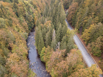 High angle view of road amidst trees in forest