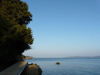 Scenic view of sea by trees against clear blue sky on sunny day