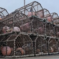Stack of lobster traps