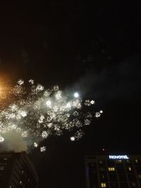 Low angle view of fireworks against sky at night