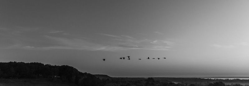 Flock of airplane flying over land against sky