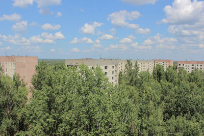 Panoramic shot of trees and plants against sky